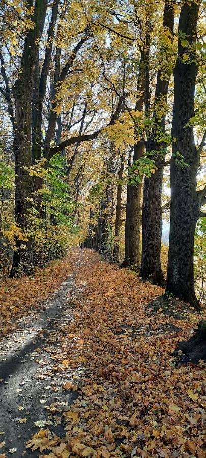 Jodla I Modrzew Daire Jelenia Gora Dış mekan fotoğraf